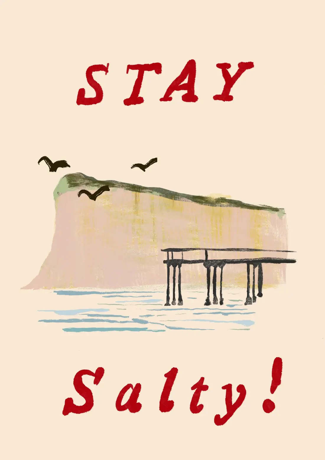 Stay Salty! — Huntcliff, the pier, and three gulls with opinions.